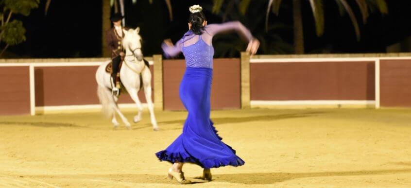 pic of Andalusian night